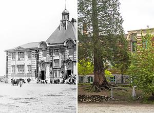 Ridgeway School