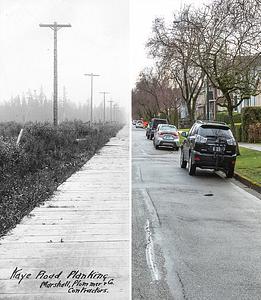 Kaye Road