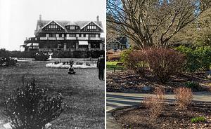 Fairacres Estate